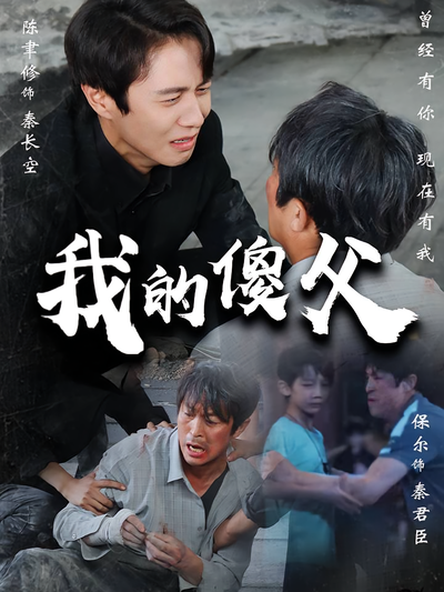 我的傻父封面图