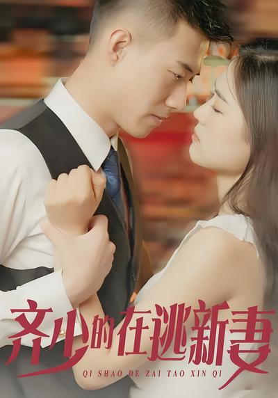 齐少的在逃新妻封面图