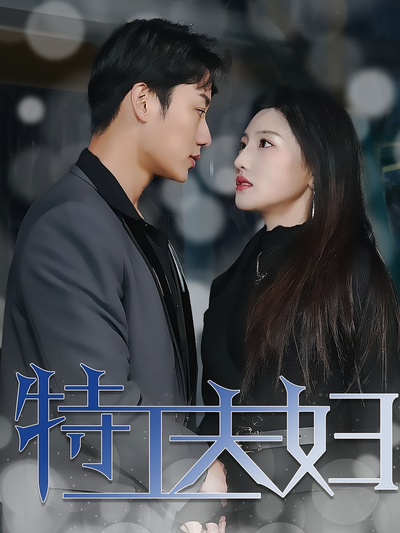 特工夫妇封面图