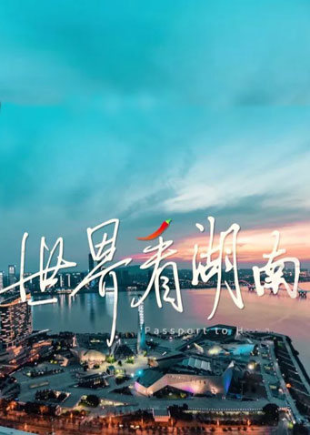 世界看湖南 2025封面图