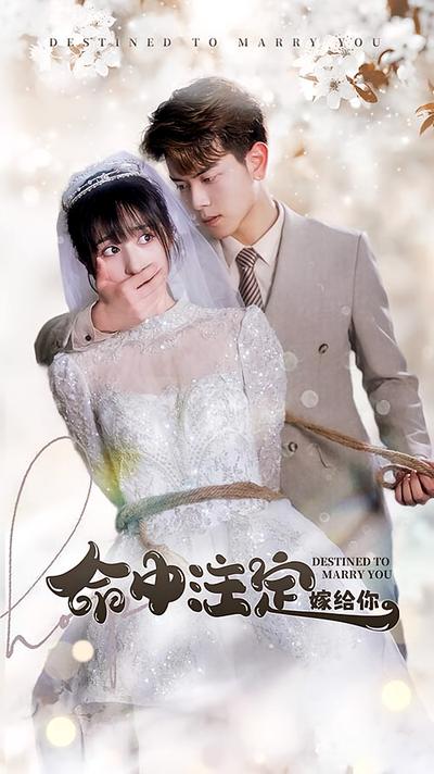 命中注定嫁给你封面图