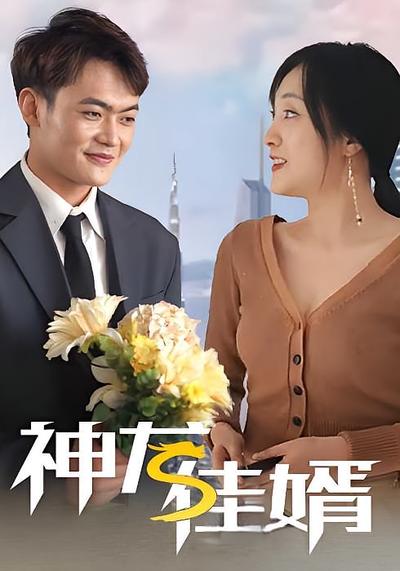 神龙佳婿封面图