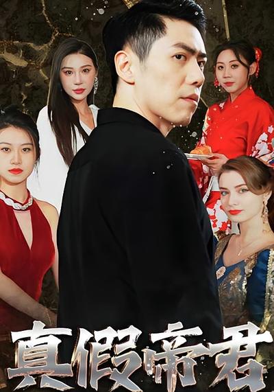 真假帝君封面图