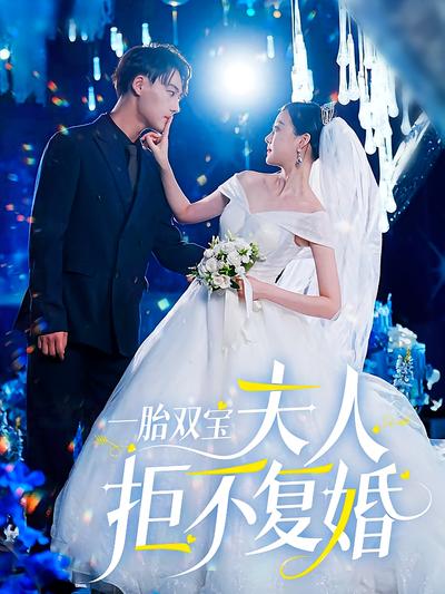 一胎双宝夫人拒不复婚封面图