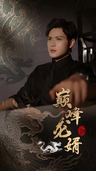 巅峰龙婿封面图