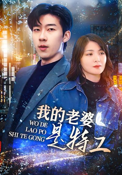 我的老婆是特工封面图