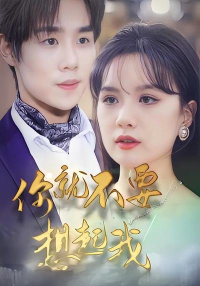 你就不要想起我封面图