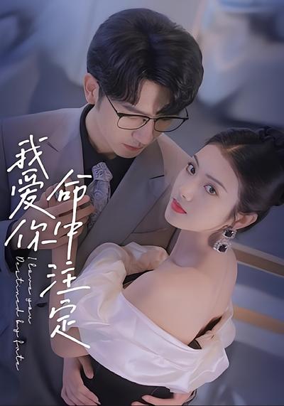 我爱你命中注定封面图