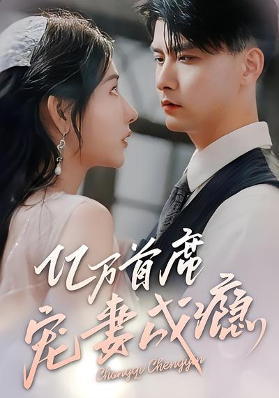 亿万首席宠妻成瘾封面图