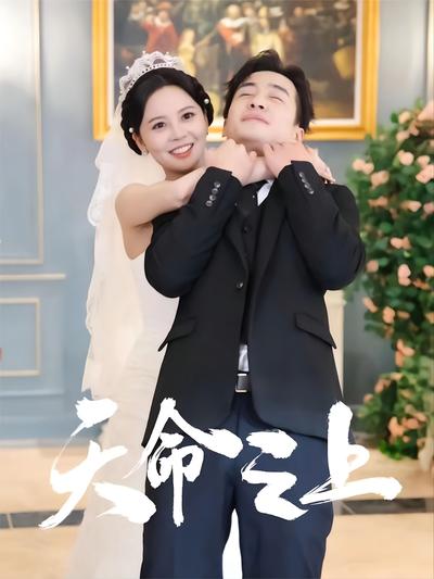 天命之上封面图