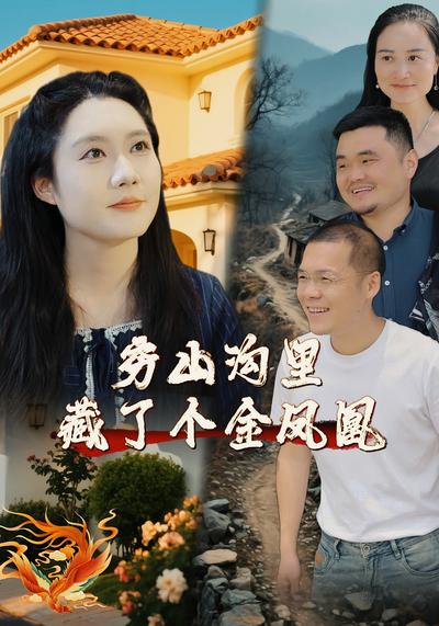 穷山沟里藏了个金凤凰封面图