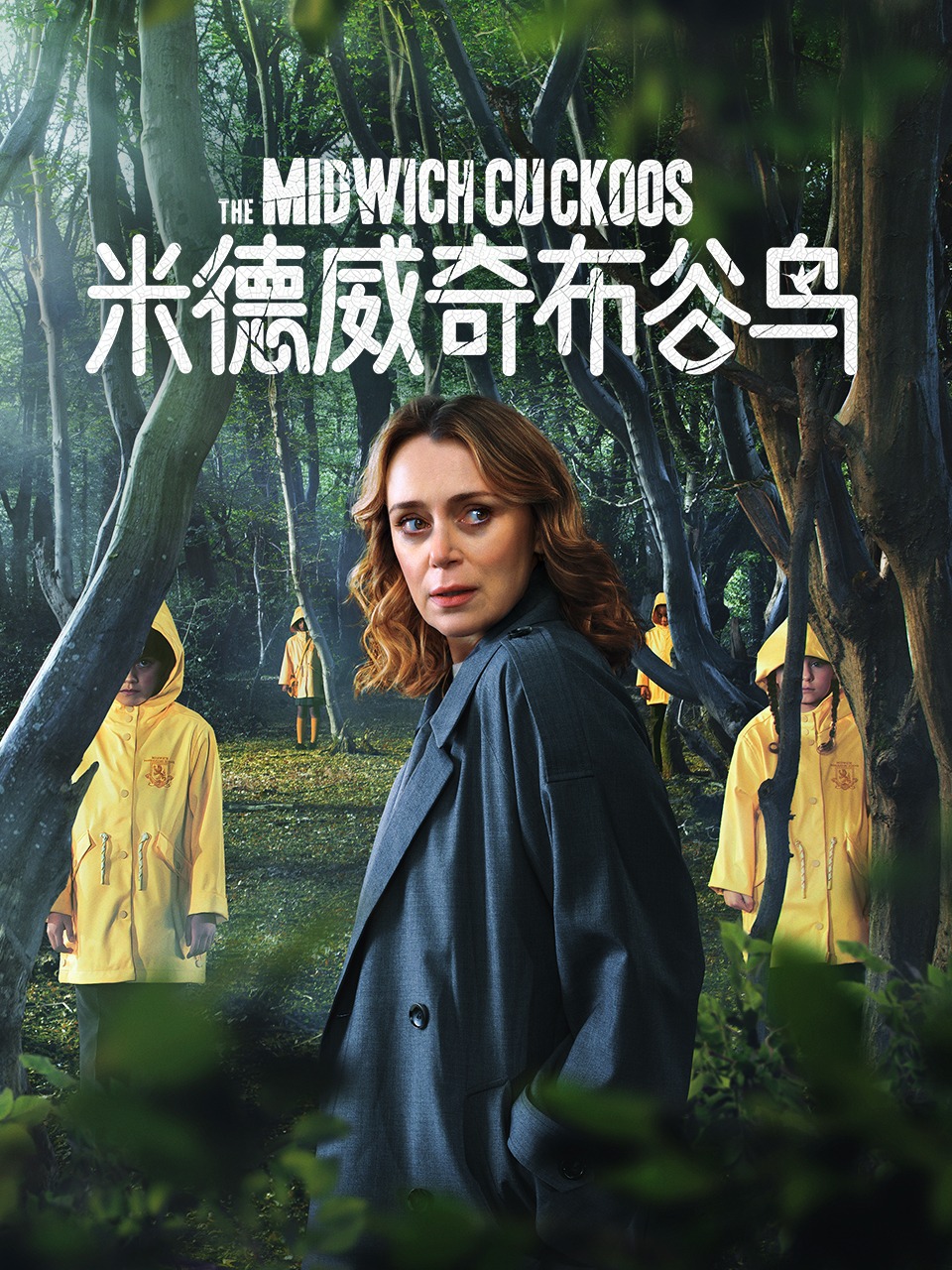 米德威奇布谷鸟封面图