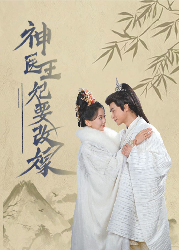 神医王妃要改嫁封面图