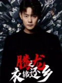 腾龙之衣锦还乡封面图