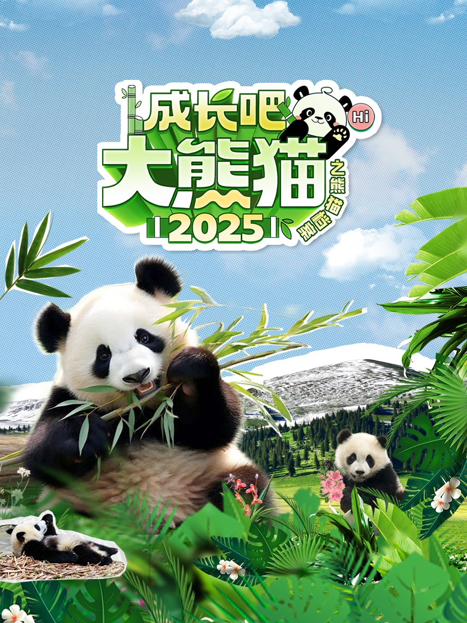 成长吧！大熊猫2025之熊猫档案封面图