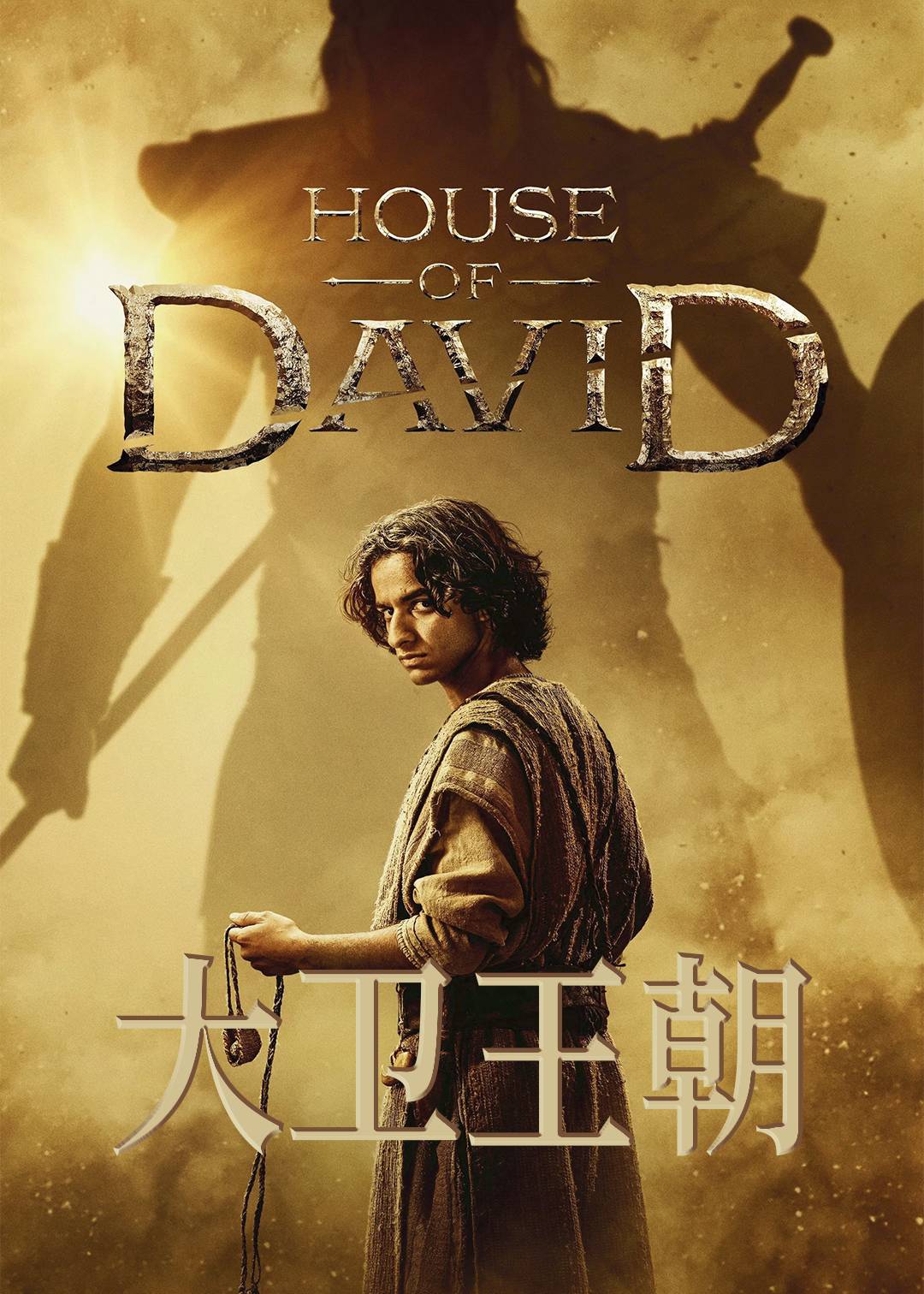 大卫王朝封面图