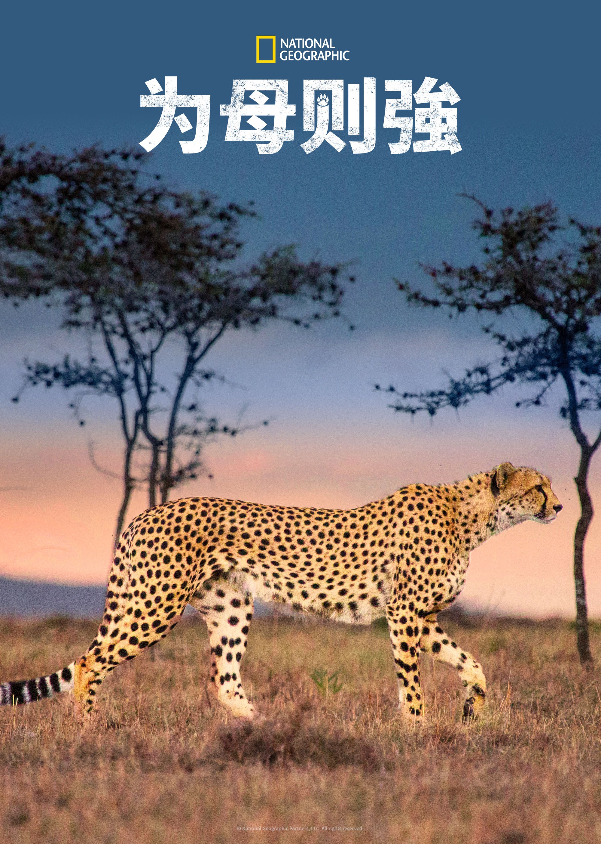 为母则强封面图