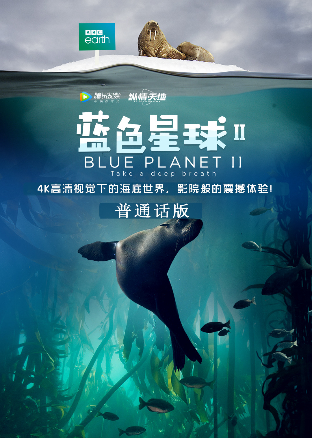 蓝色星球第二季[普通话版]封面图