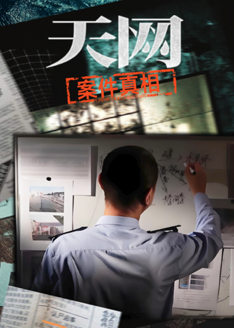 天网：案件真相封面图