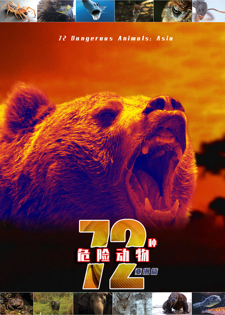72种危险动物·亚洲篇封面图