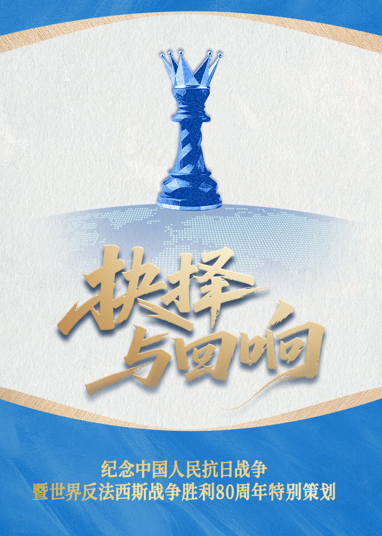 抉择与回响封面图