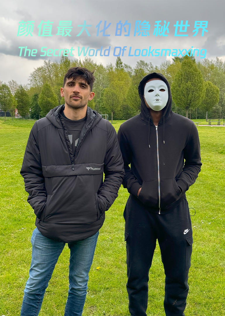 颜值最大化的隐秘世界封面图