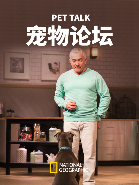 宠物论坛第一季封面图