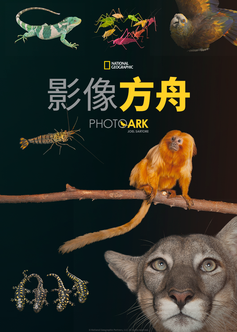 影像方舟第二季封面图