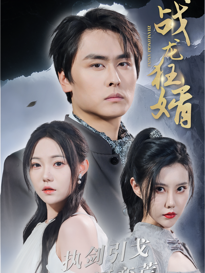 战龙狂婿封面图