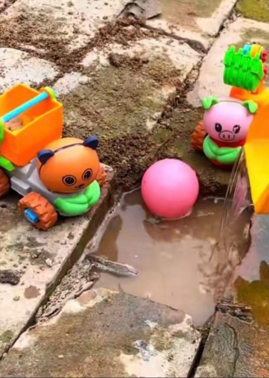 兔兔爱玩具封面图