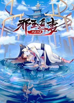 邪王追妻第三季