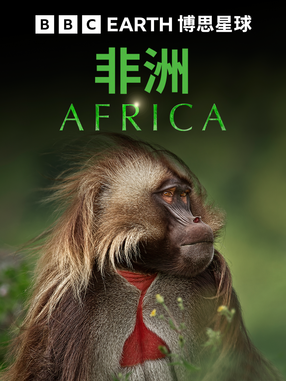 非洲封面图