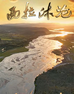 西拉沐沦封面图