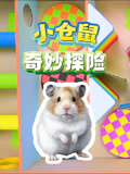 小仓鼠奇妙探险封面图