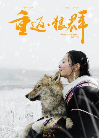 重返·狼群封面图