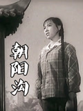 朝阳沟（豫剧）封面图