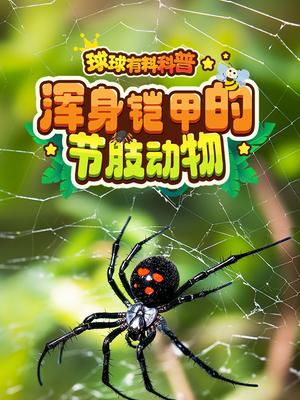 球球有料科普：浑身铠甲的节肢动物封面图