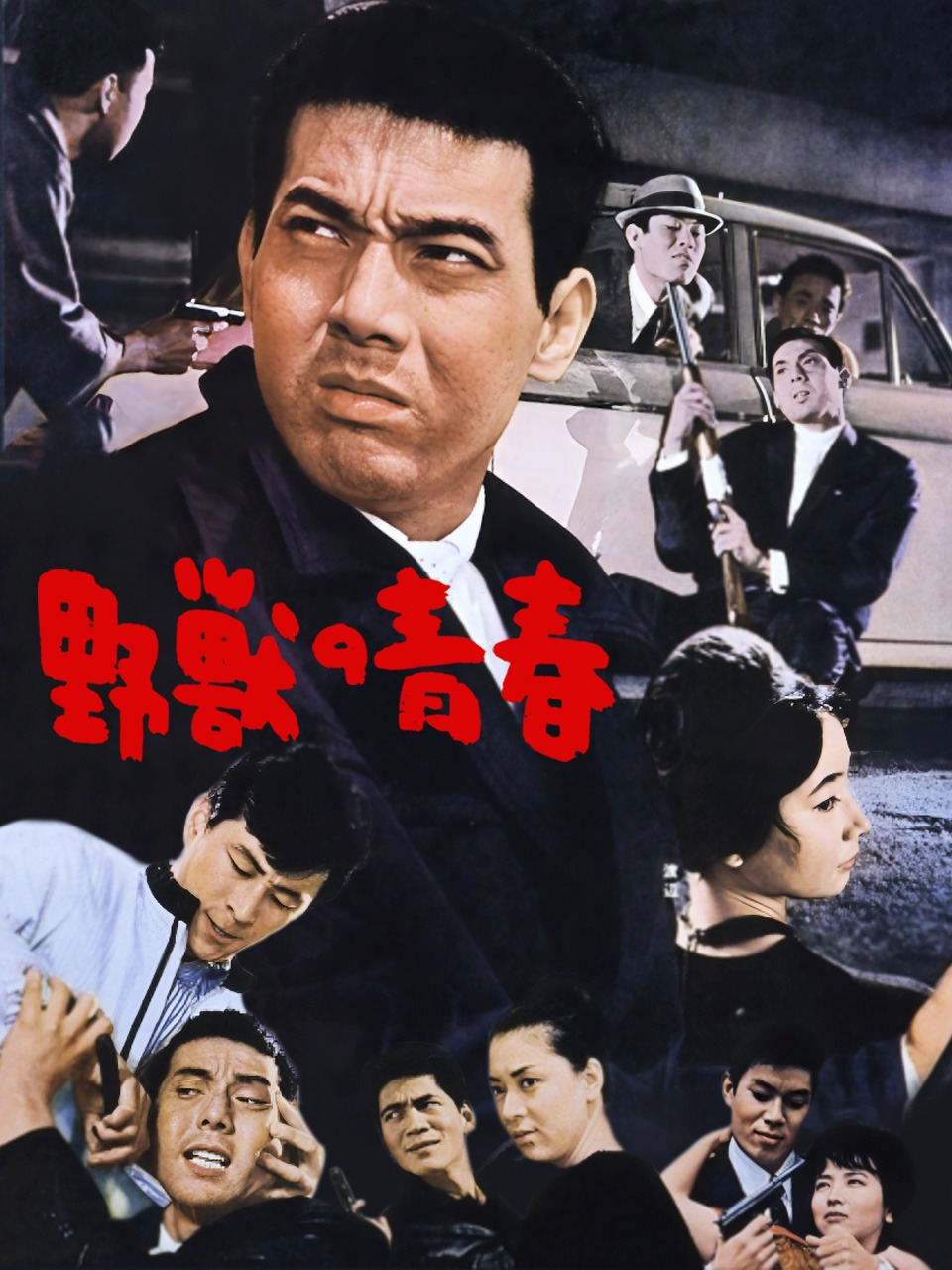 野兽之青春封面图