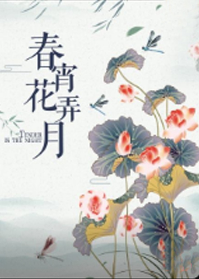 春宵花弄月封面图