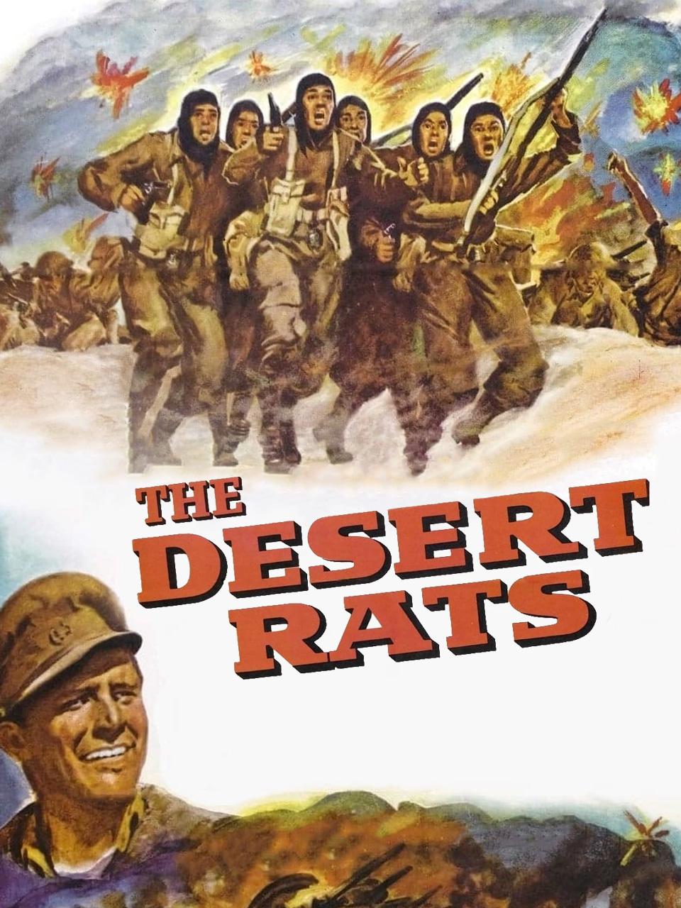 沙漠之鼠封面图