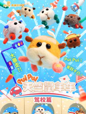 天竺鼠车车 驾校篇封面图