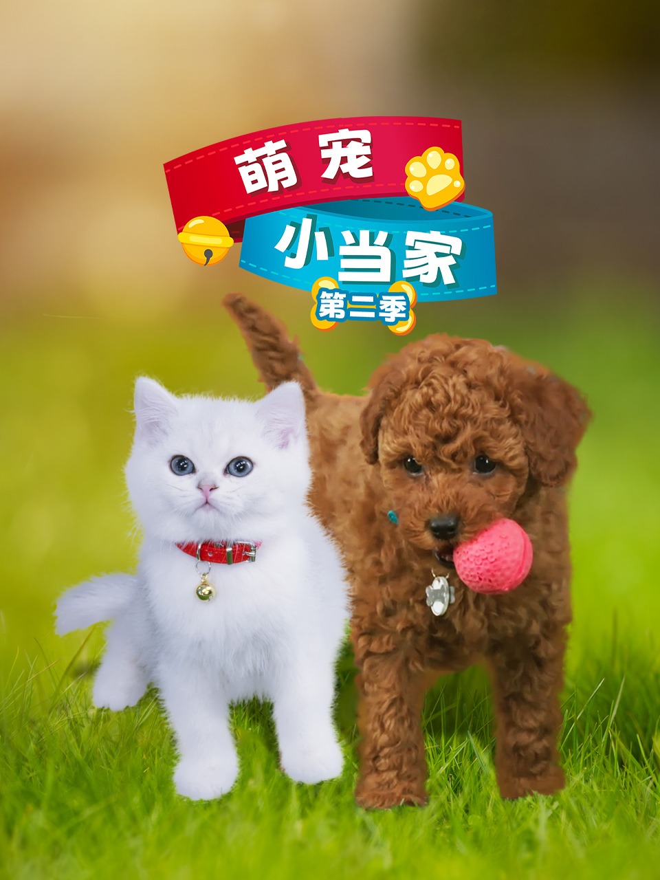 萌宠小当家第二季封面图