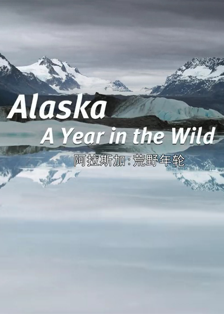 阿拉斯加：荒野年轮封面图