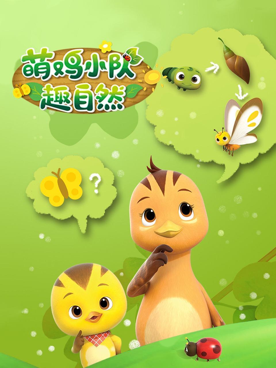 萌鸡小队趣自然