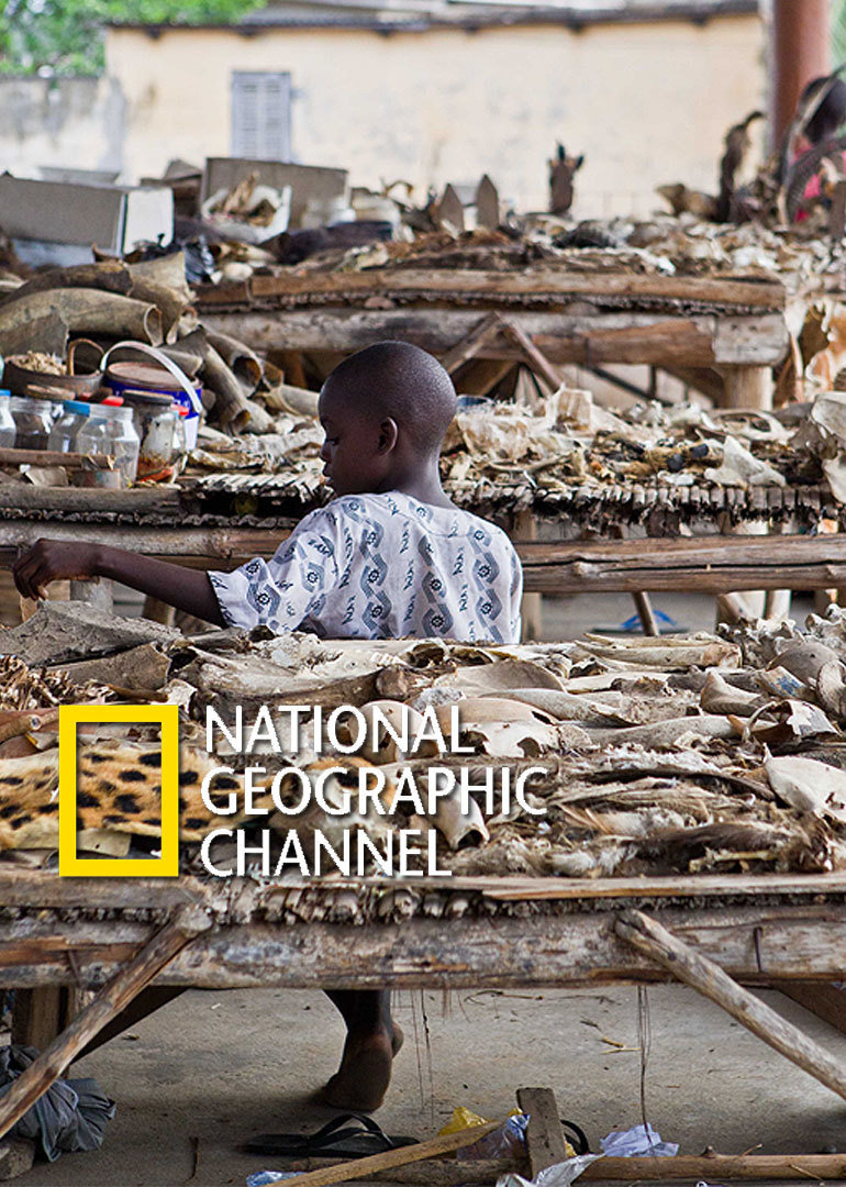 国家地理2016封面图