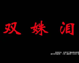 双姝血案封面图