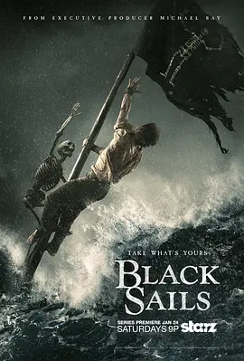 黑帆 第二季 Black Sails Season 2封面图