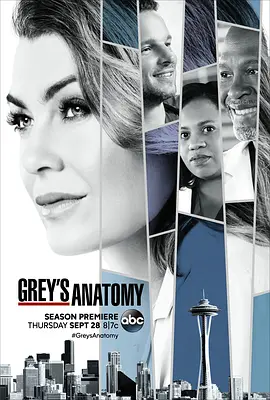 实习医生格蕾 第十四季 Grey's Anatomy Season 14封面图