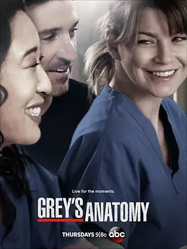 实习医生格蕾 第十季 Grey's Anatomy Season 10封面图