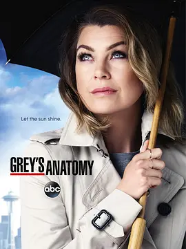 实习医生格蕾 第十二季 Grey's Anatomy Season 12封面图